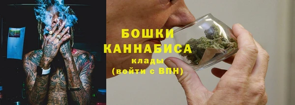PSILOCYBIN Лихославль