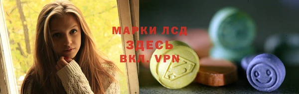 PSILOCYBIN Лихославль
